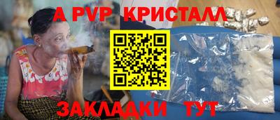 спиды Кингисепп