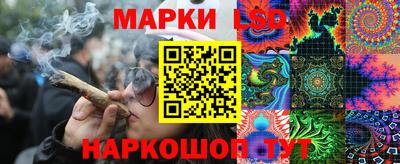 спиды Кингисепп