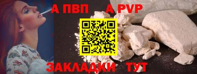 спиды Кингисепп