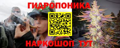 спиды Кингисепп