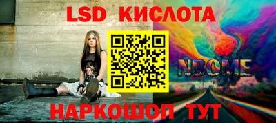 спиды Кингисепп