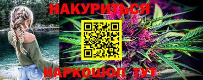 спиды Кингисепп