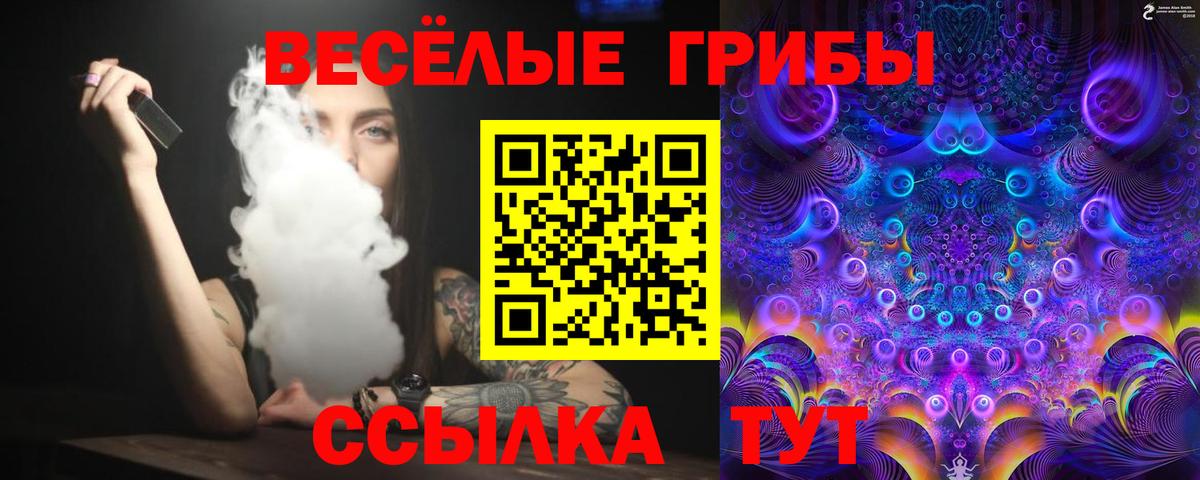 МДМА Котлас